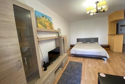 Garsonieră semidecomandată în Vitan Mall - 13