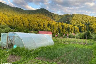 Casă cu 4 camere cu Teren 2500 Mp în Răstolița - 1