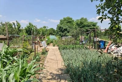 Casă cu 8 camere cu Teren 650 Mp în Central - 3