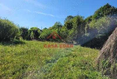 Teren intravilan in Poiana Campina 4285 mp parcelabil 11,6e - 10