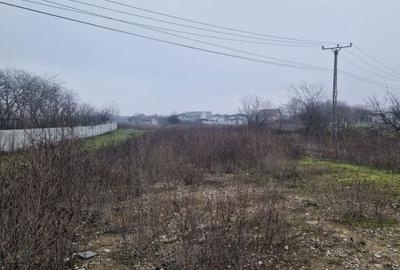 Spațiu comercial, în Preajba