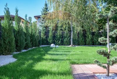 Vila luminoasa in Corbeanca, mobilata si utilata, ansamblu piscina - 6
