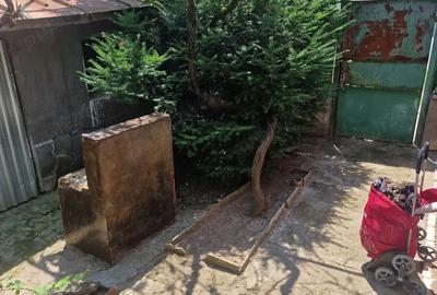 Casă cu 3 camere în Deta - 6