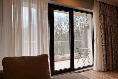 Apartament cu 2 camere, mobilat în Iancu Nicolae - 9