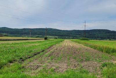 TEREN AGRICOL BABENI LANGA ABATOR LA PROVINCIA - pretabil ferma cu panour solare - 2