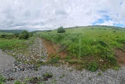 Teren de 903 mp, în Ciurila - 3