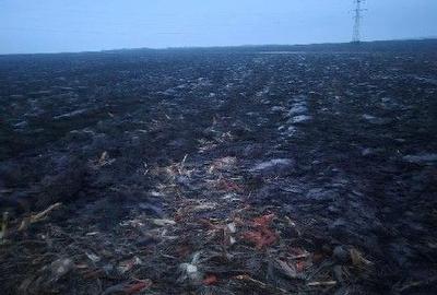 Teren de 4050 mp, în Popricani - 4