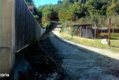 Teren de 96279 mp, în Sălătrucel - 3