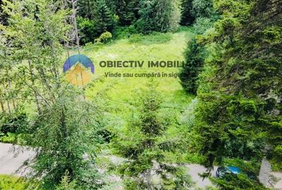 Teren Construcții intravilan de 14114 mp, în Schitu Tarcău - 5
