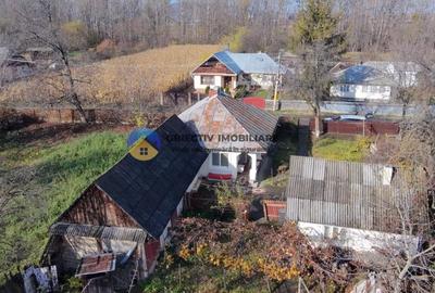 Casa + teren 5062 mp de vanzare – Targu Neamt - 1