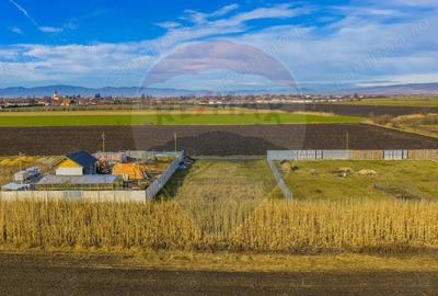 Teren intravilan 800mp Bod / Strada Iasomiei/ zona agrement Cismasu! - 5