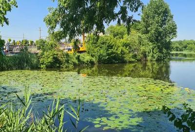 Teren de inchiriat - 1