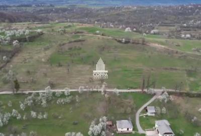 Teren de 5257 mp, în Curtuiușu Mic - 8