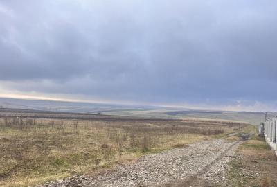 Teren agricol extravilan de 800 mp, în Moara - 9
