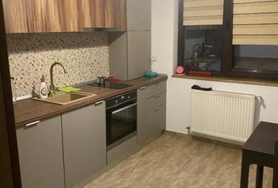 Vila Dobroesti 4 Camere PARTER Etaj Mansarda Fosior - 11