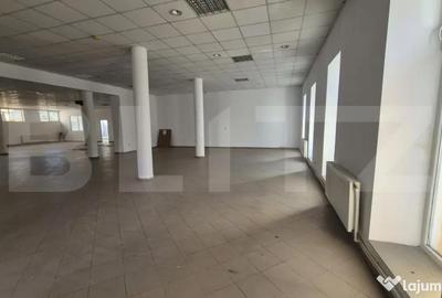 Spațiu comercial, de 773 mp, în Lucian Blaga - 7