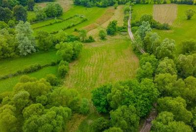 Comision 0%, teren 900 mp, Sinca Noua - 1