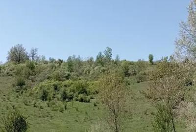 Teren în Gușoeni - 2