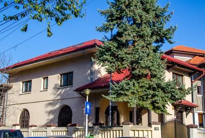 Proprietar inchiriez duplex etaj 1+mansarda-Aviatorilor-Kiseleff,in vila,160mp - 15