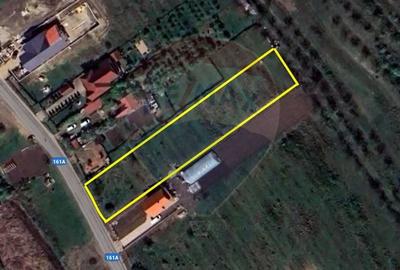 Teren 7,138mp Apahida / Drumul Str  principala