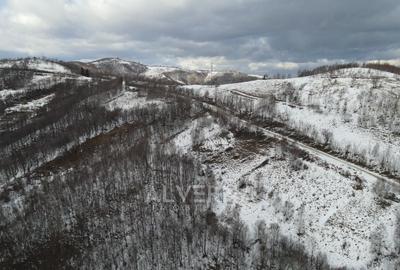 Teren intravilan 3127mp Front 47m | drum asfaltat | Plopi Valea Ierii - 2