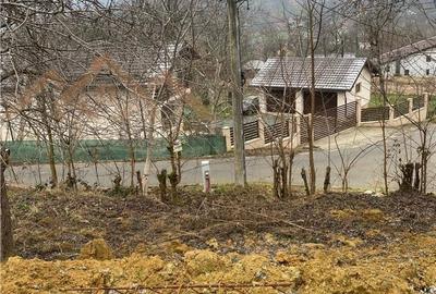 Teren de 1170 mp, în Dumbrăvița - 1