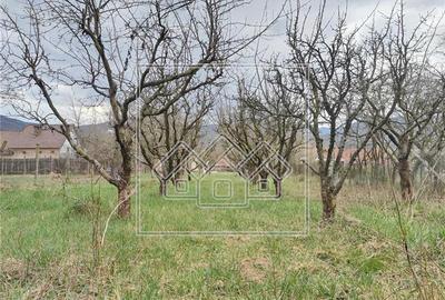 Casă individuală cu 3 camere cu Canalizare în Săcel - 5