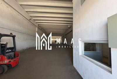Spațiu industrial, de 800 mp, în Turnișor - 2