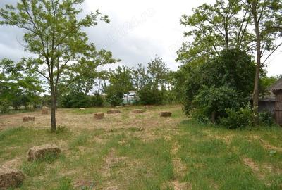 Casă cu 5 camere cu Teren 1447 Mp în Surdila-Greci - 1