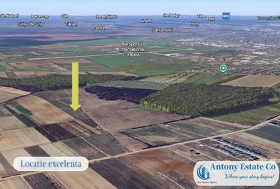 Oportunitate de investitie - Teren Cihei, langa Padurea Nojo - 5