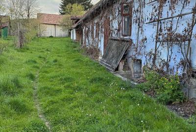 Casă cu 3 camere în Ruja - 4