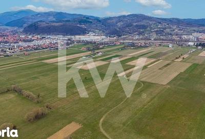 Teren de 8557 mp, în Plaiul Foii - 9