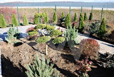 Casă individuală cu 4 camere cu Garaj în Șelimbăr