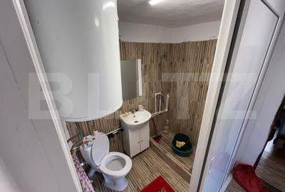 Casa renovata Varvoru de Sus, 30 mpu, 1000 mp curte. - 10
