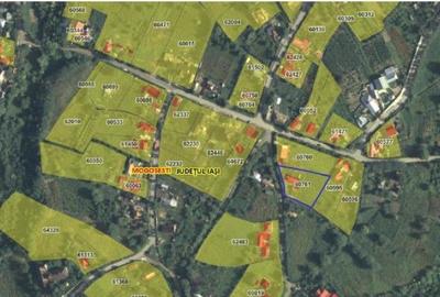 Casă cu 3 camere cu Teren 1481 Mp în Mogoșești - 8