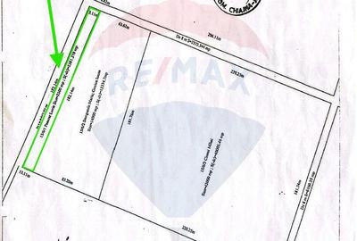 Teren agricol extravilan de 2500 mp, în Dragomirești-Vale - 4