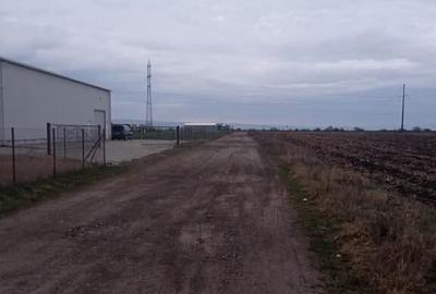 De vanzare terenuri intravilane intre Chilieni si Ozun - 7