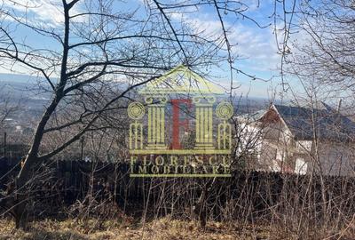 Teren Barnova  ! - 3