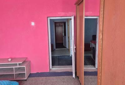 Casă cu Teren 1420 Mp în Beba Veche - 5