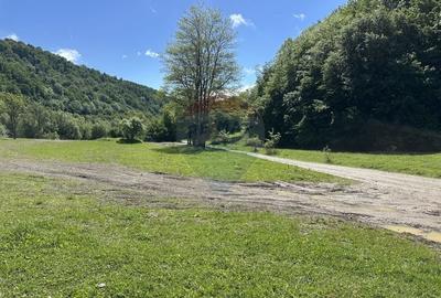 Teren Construcții intravilan de 1340 mp, în Cuejdiu - 3
