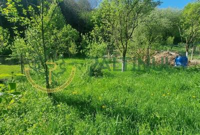Casă de vânzare în Cisnădioara, curte mare și vedere spre munte - 4