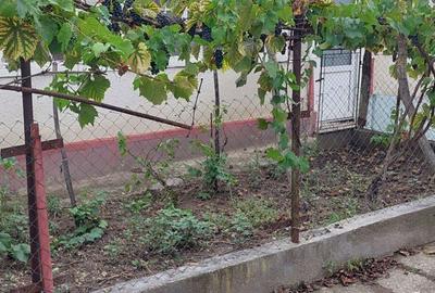 Casă cu 4 camere în Cohani - 2