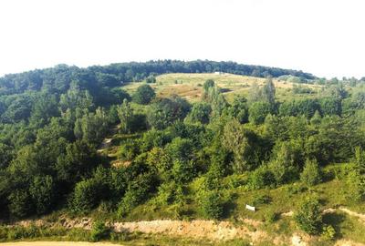 Teren de vanzare in Salicea, 10000 MP , Zona Moara de vant! Teren de vanzare in Salicea, 10000 MP , Zona Moara de vant! - 4