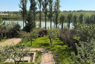 Casă în Valea Adâncă - 9