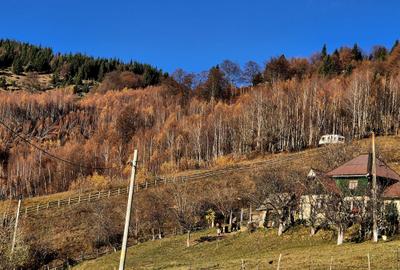 Teren de vânzare în sat Măgura/ Brasov– loc pentru familie, liniște și suflet - 4