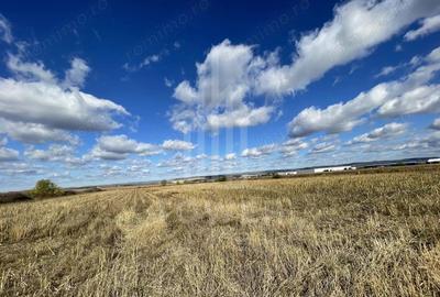 Teren de 14800 mp, în Cristian