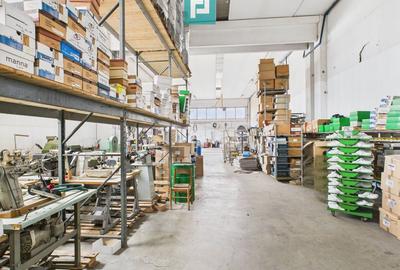 Hală de producție, cu birouri și teren, în Sebiș - 56