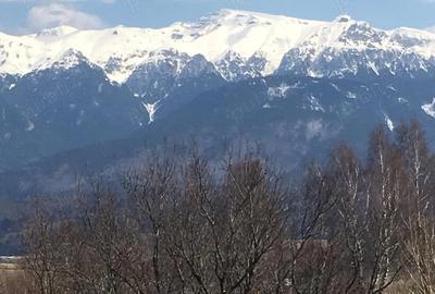 Casa de vacanta sat Pestera, Brasov - 5