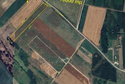 RECO Teren industrial si servicii 10 000 mp in Apateu - 2