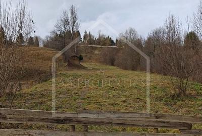 Teren Panoramic - intravilan 3726mp | Podul Dambovitei - 5